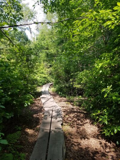 Houghton Garden - Chestnut Hill, MA