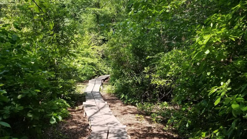 Houghton Garden - Chestnut Hill, MA