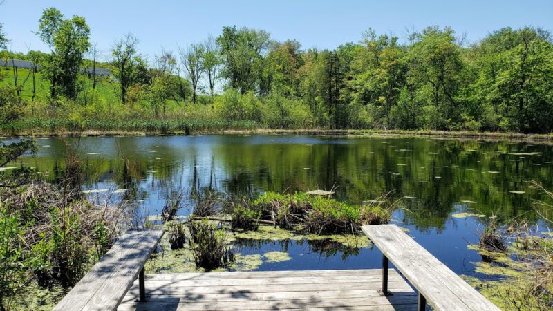 Lost Pond Conservation Area - Chestnut Hill, MA