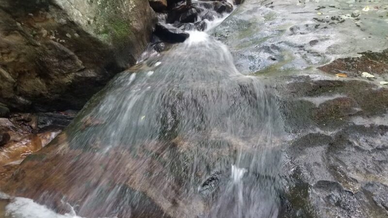 Chestnut Ridge - Chestnut Ridge, PA