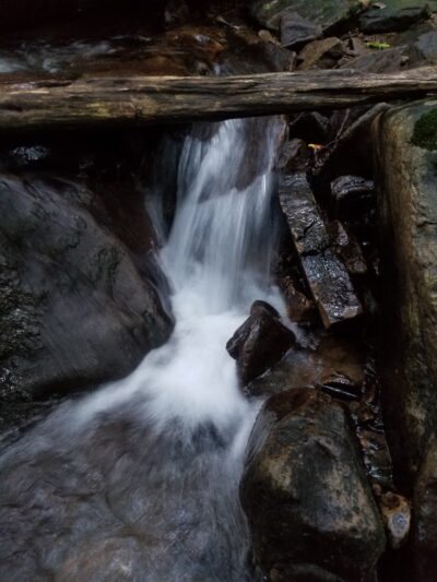 Chestnut Ridge - Chestnut Ridge, PA
