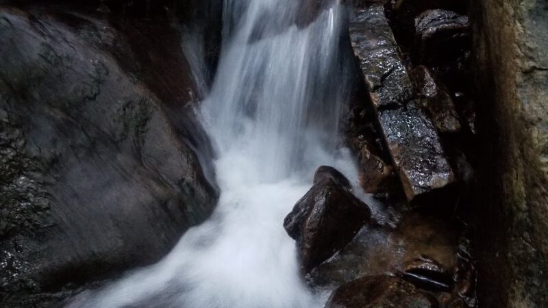 Chestnut Ridge - Chestnut Ridge, PA