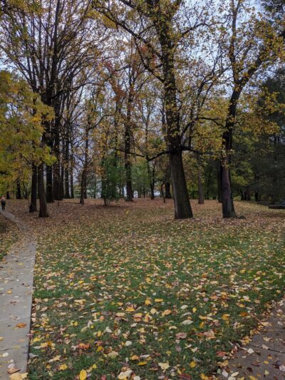 Brookdale Neighborhood Park - Chevy Chase, MD