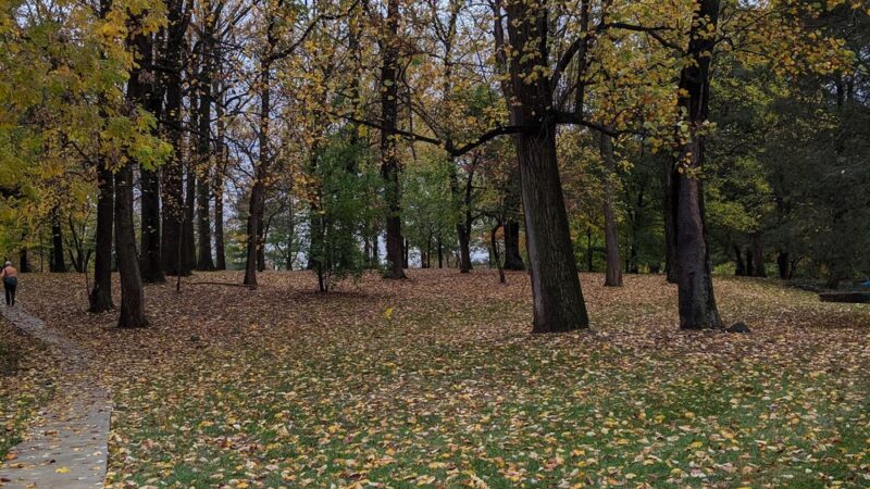 Brookdale Neighborhood Park - Chevy Chase, MD