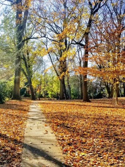 Brookdale Neighborhood Park - Chevy Chase, MD