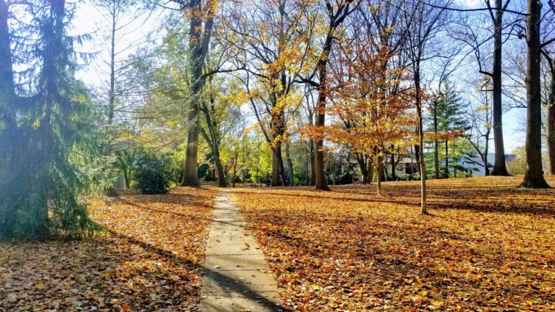 Brookdale Neighborhood Park - Chevy Chase, MD