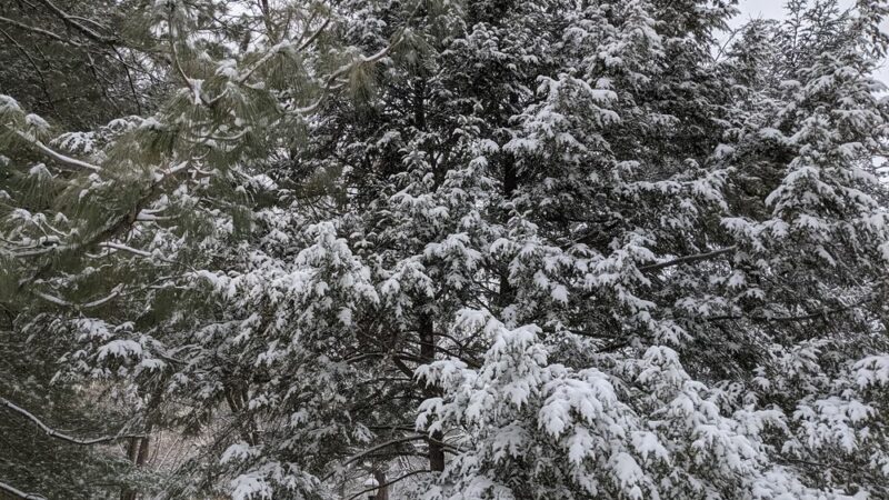 Elm Street Urban Park - Chevy Chase, MD