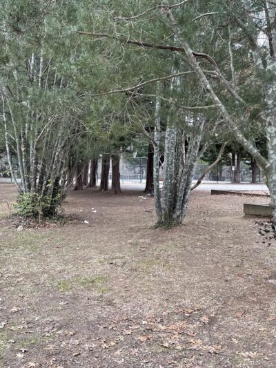 Leland Neighborhood Park - Chevy Chase, MD