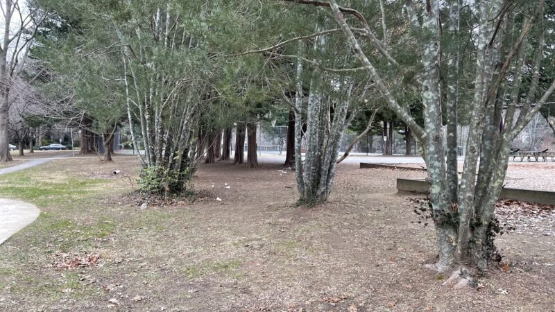 Leland Neighborhood Park - Chevy Chase, MD