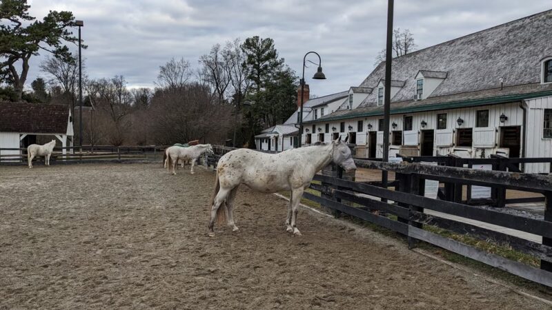Meadowbrook Local Park - Chevy Chase, MD