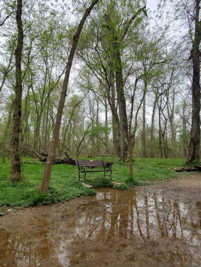 Meadowbrook Local Park - Softball Fields #4, 5, and 6 - Chevy Chase, MD