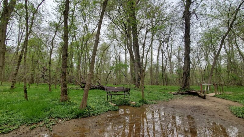 Meadowbrook Local Park - Softball Fields #4, 5, and 6 - Chevy Chase, MD