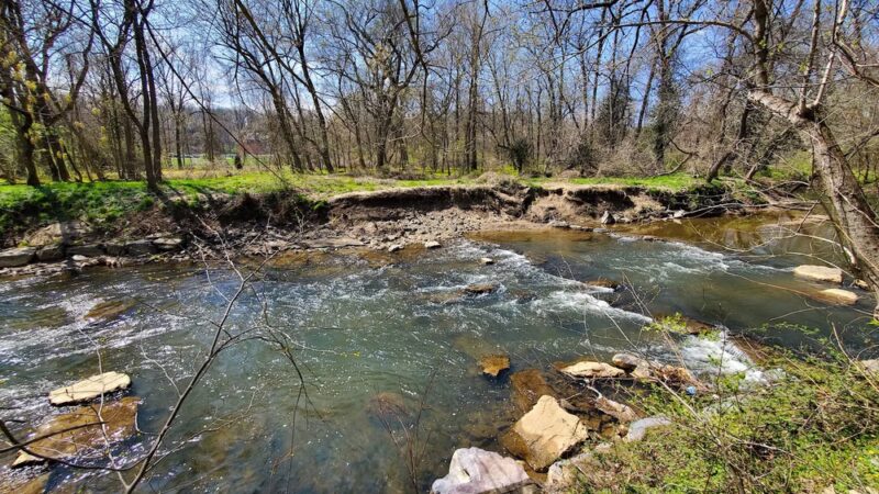 Meadowbrook Local Park - Softball Fields #4, 5, and 6 - Chevy Chase, MD