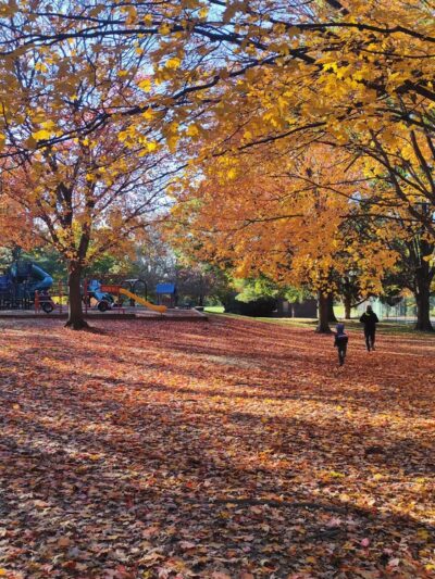 Norwood Local Park - Chevy Chase, MD