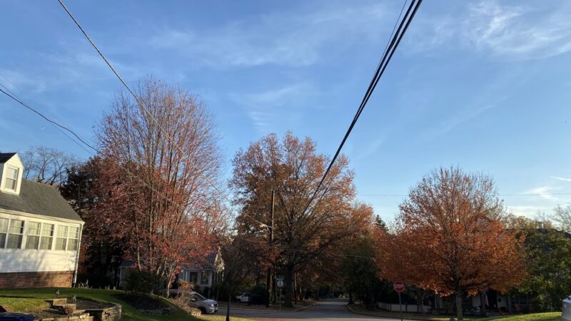 Playground - Chevy Chase, MD