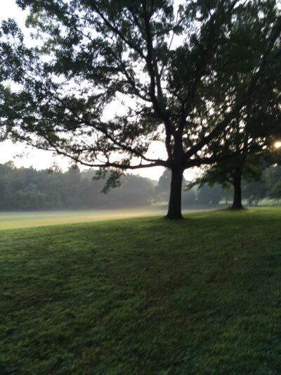 Playground - Chevy Chase, MD