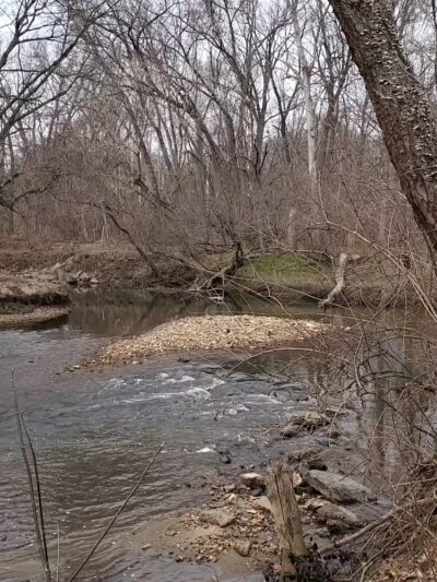 Ray’s Meadow Local Park - Chevy Chase, MD