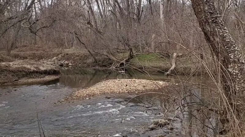 Ray’s Meadow Local Park - Chevy Chase, MD