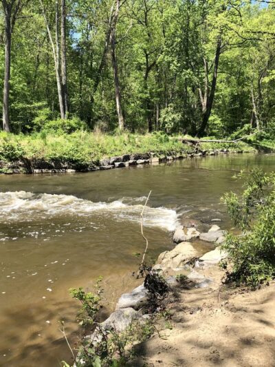 Ray’s Meadow Local Park - Chevy Chase, MD