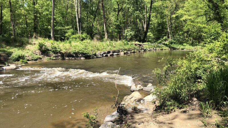 Ray’s Meadow Local Park - Chevy Chase, MD