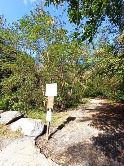 Rock Creek Park Boundary Bridge Parking - Chevy Chase, MD