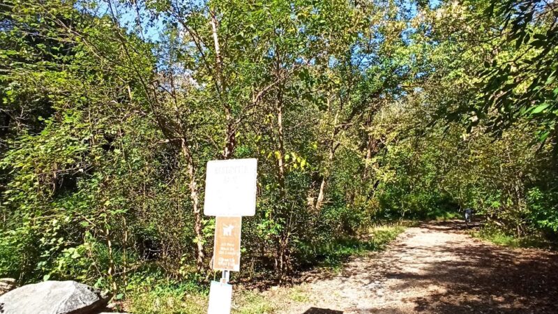 Rock Creek Park Boundary Bridge Parking - Chevy Chase, MD
