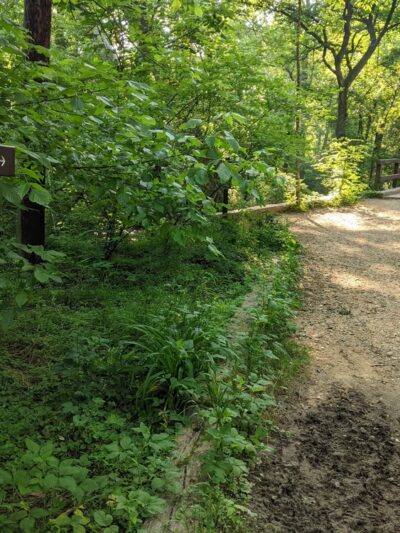 Rock Creek Park Boundary Bridge Parking - Chevy Chase, MD