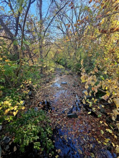 Rock Creek SVU 2 North end - Chevy Chase, MD