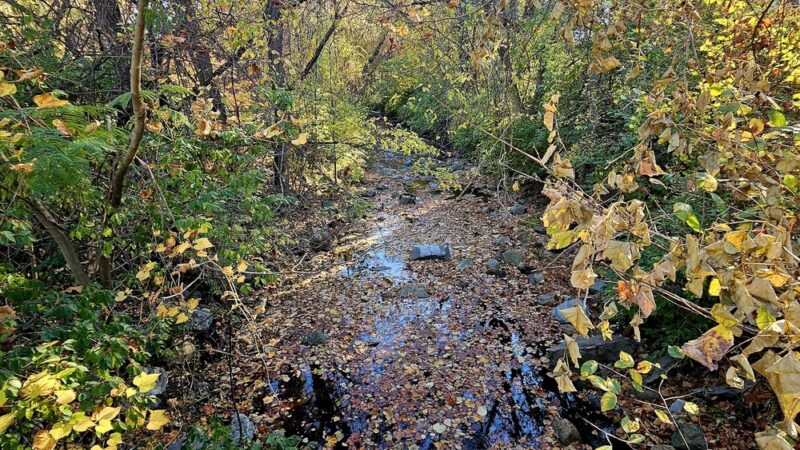 Rock Creek SVU 2 North end - Chevy Chase, MD