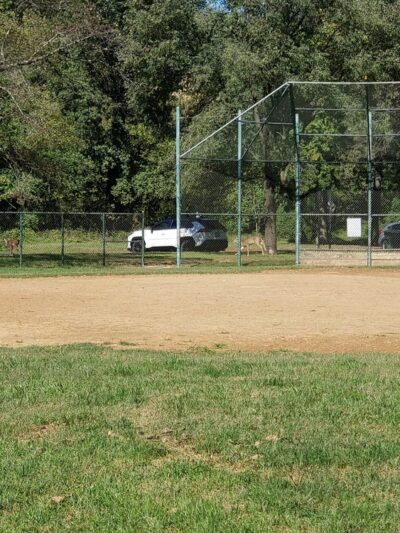 Softball Fields #1, 2, and 3 - Chevy Chase, MD