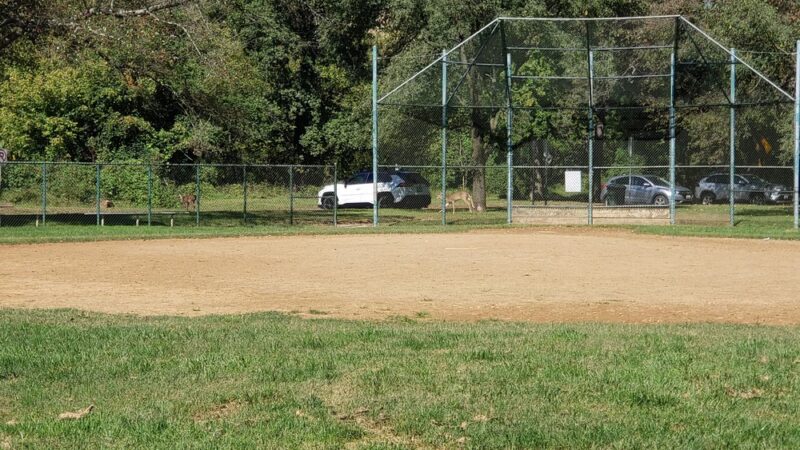 Softball Fields #1, 2, and 3 - Chevy Chase, MD