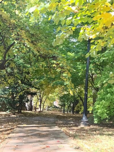 Western Grove Urban Park - Chevy Chase, MD