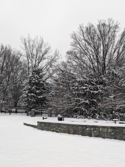 Western Grove Urban Park - Chevy Chase, MD