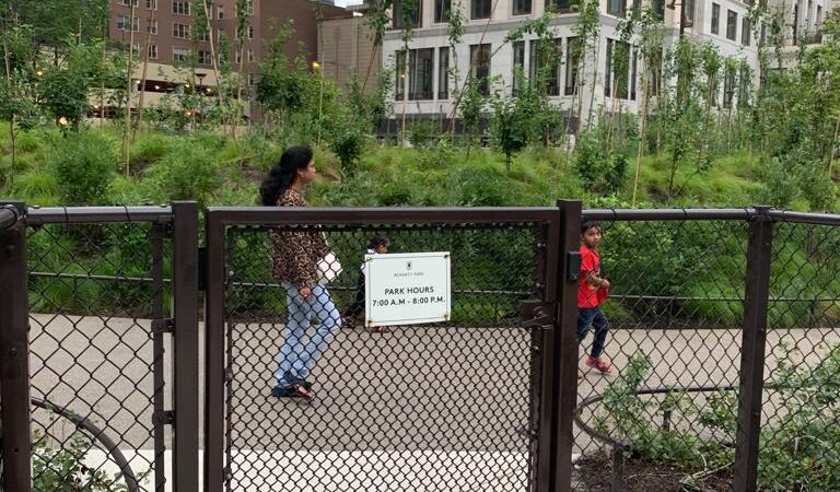 Dog park - Chicago, IL