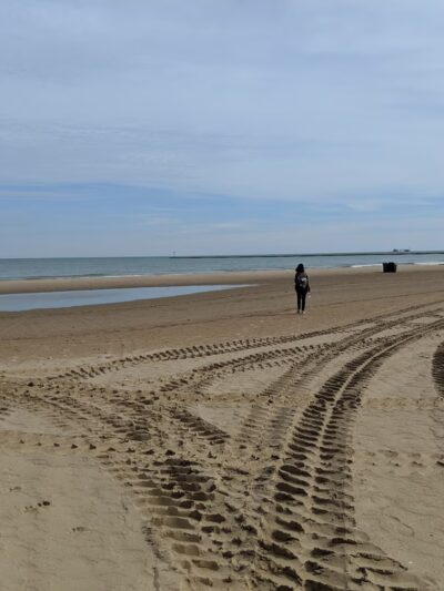 63rd Beach Park - Chicago, IL