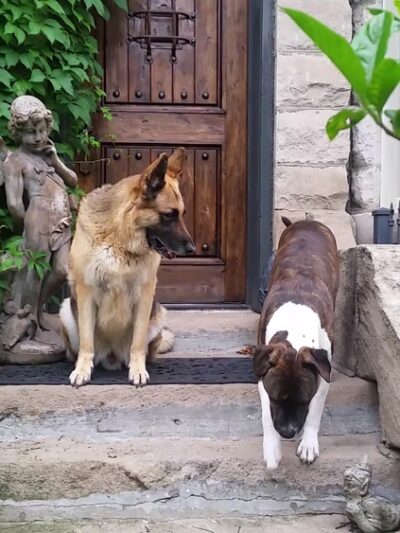 63rd Beach Park - Chicago, IL