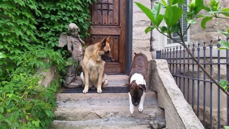 63rd Beach Park - Chicago, IL