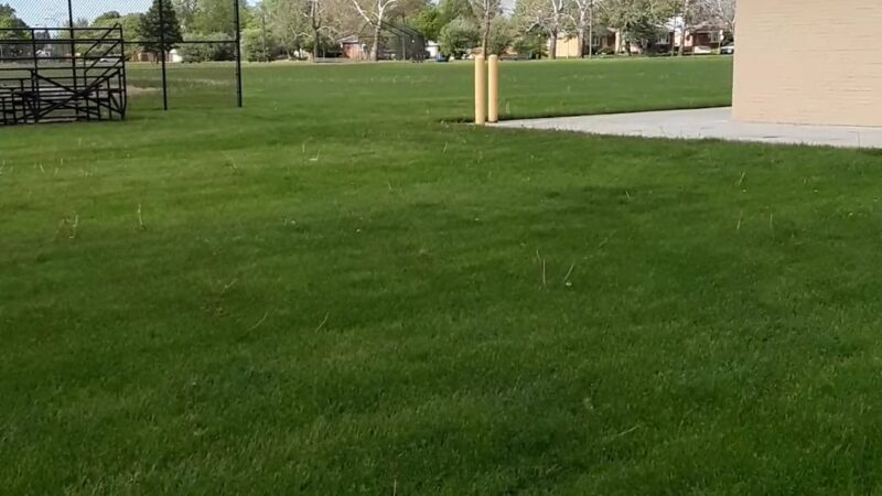 Bogan Park - Chicago, IL