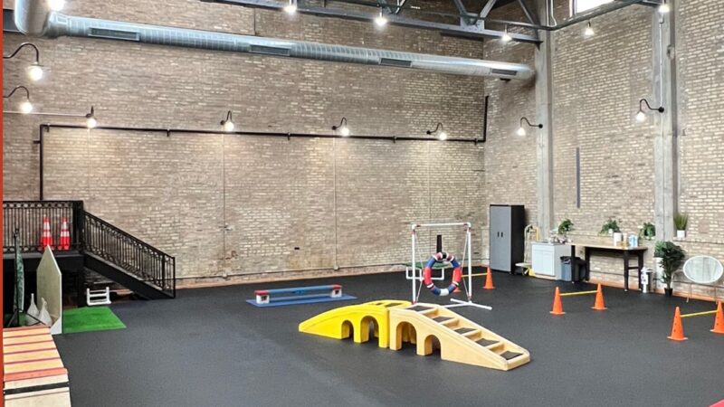 Bosly's Backyard - Chicago, IL