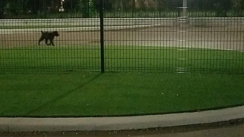 Bronzeville Dog Park: Park# 590 - Chicago, IL