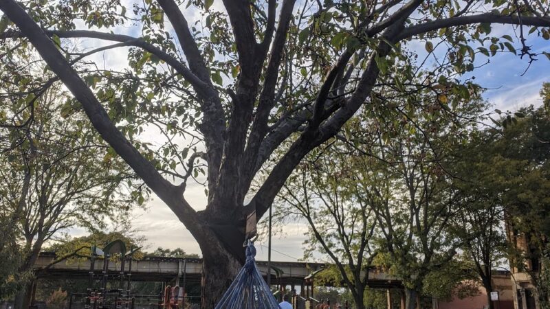 Buena Circle Park - Chicago, IL