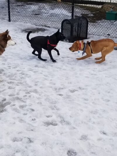 Buena Circle Park - Chicago, IL