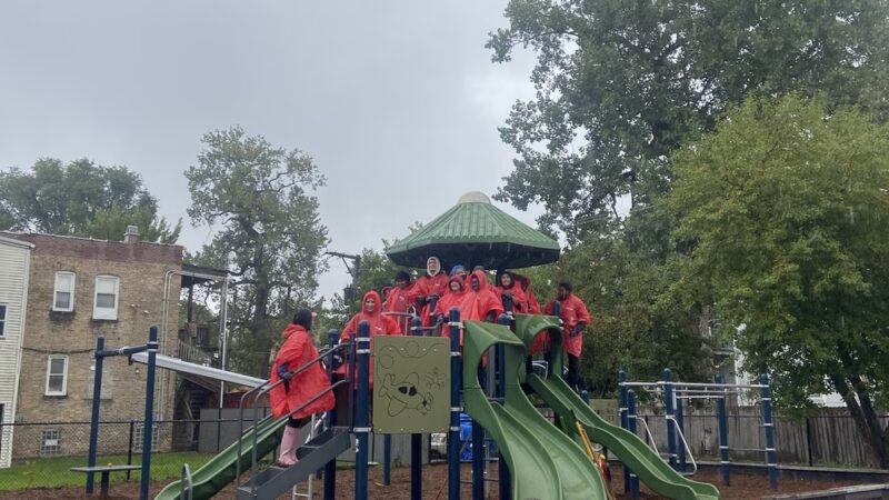 Carpenter (Philo) Park - Chicago, IL