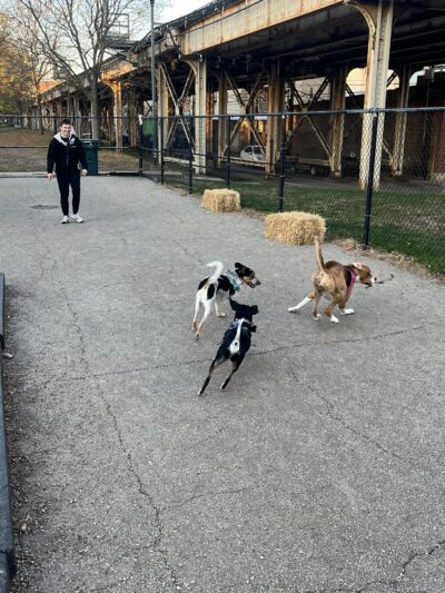 Challenger Park - Chicago, IL