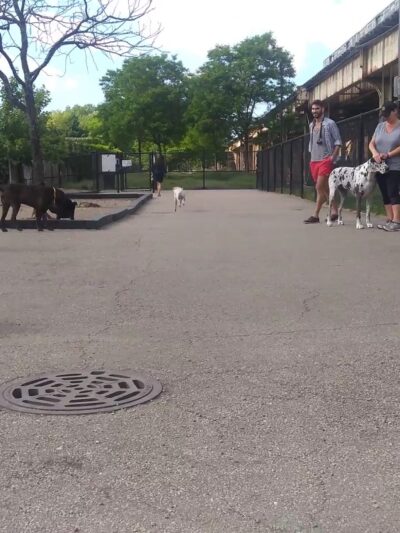 Challenger Park - Chicago, IL