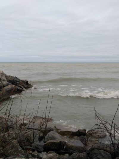 Chicago Park 559 - Chicago, IL