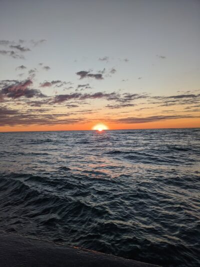 Chicago Park 559 - Chicago, IL