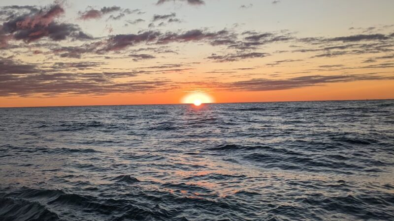 Chicago Park 559 - Chicago, IL