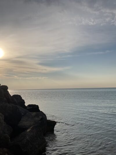 Chicago Park 559 - Chicago, IL