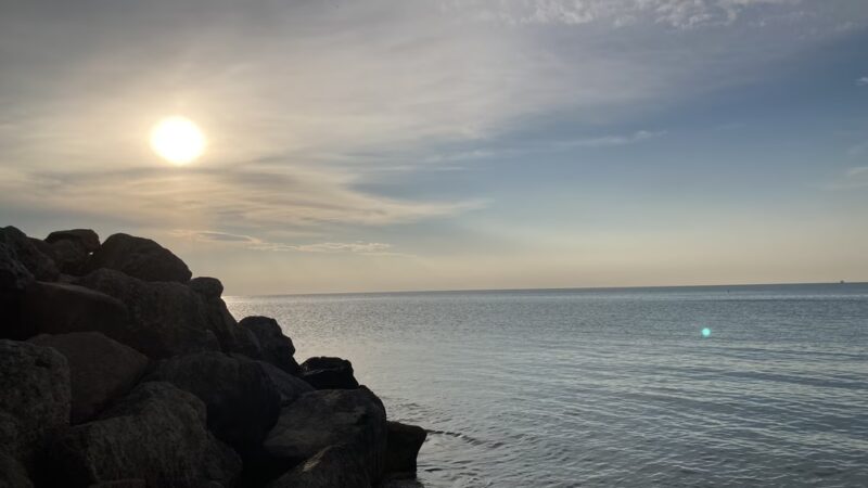 Chicago Park 559 - Chicago, IL